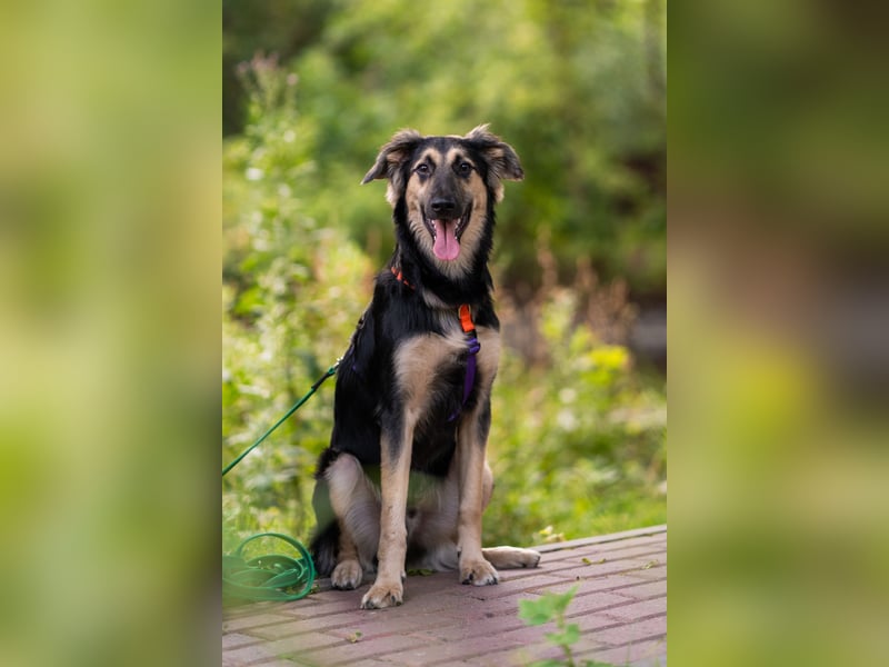 Der mutige Philip sucht seine Menschen