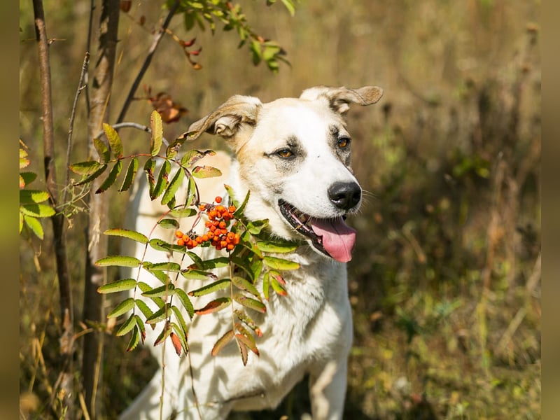 Kannst du Nemo lieben trotz handicap?!