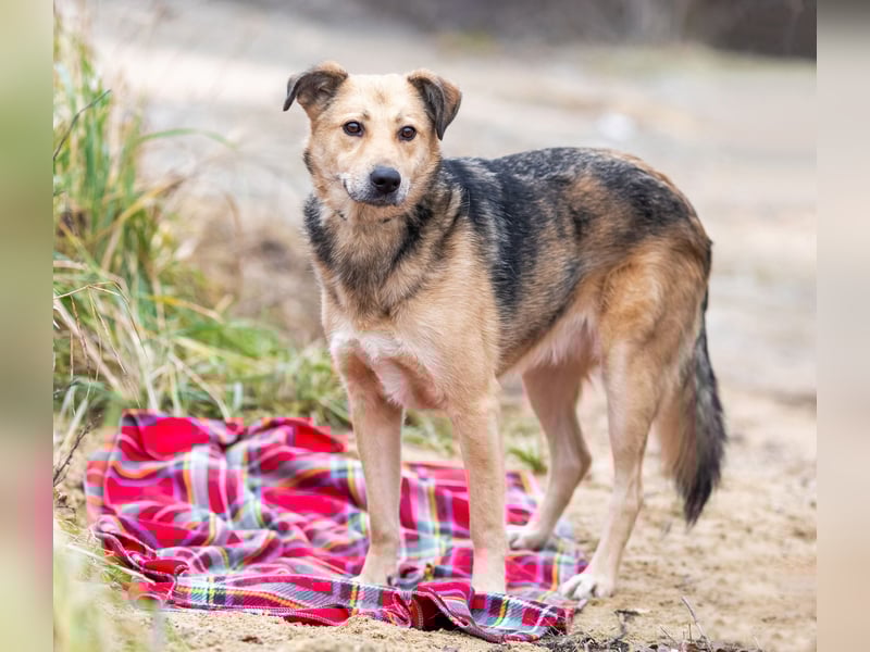 Mit wem kann Nora durch dick und dünn gehen?!