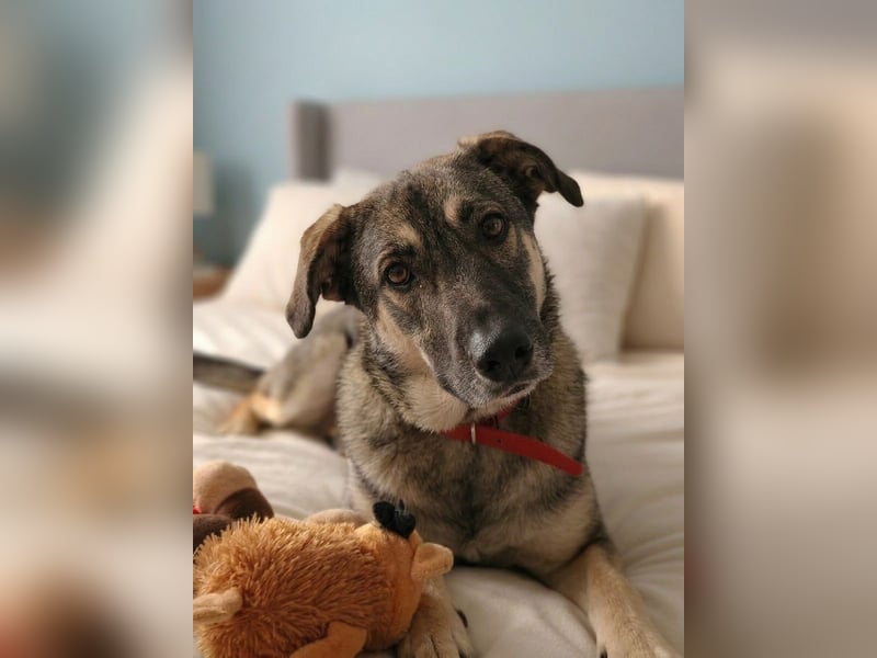 Verzaubert Lori dich mit ihren augen ?!