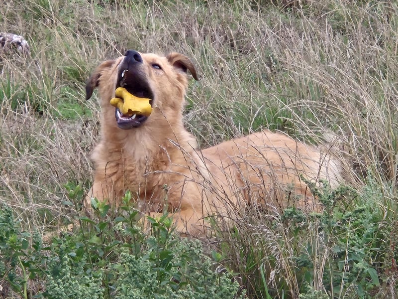 Enyo liebevoll Neo gerufen