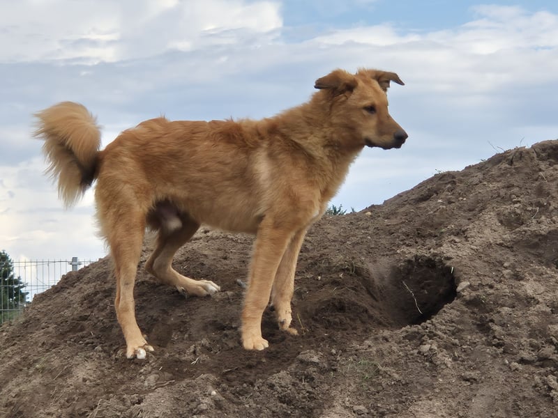 Enyo liebevoll Neo gerufen