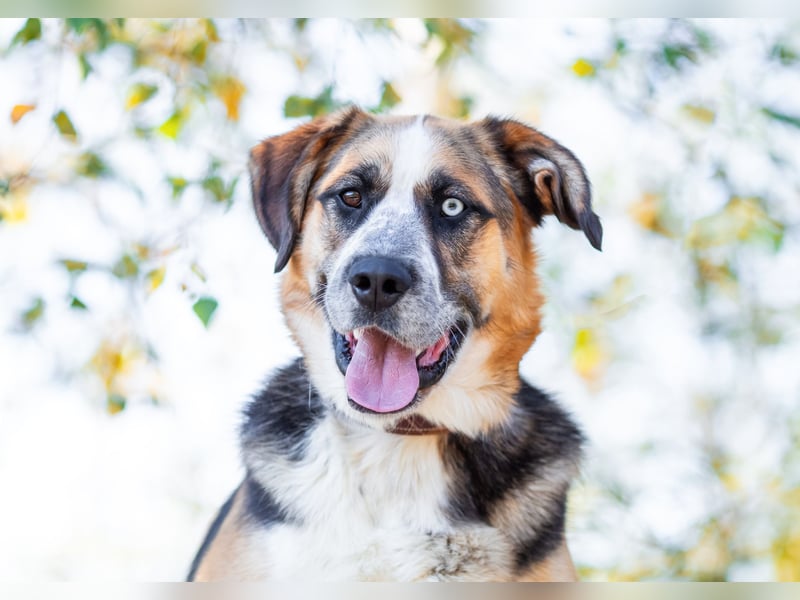 Tyson will nochmal seine ganze Liebe zeigen