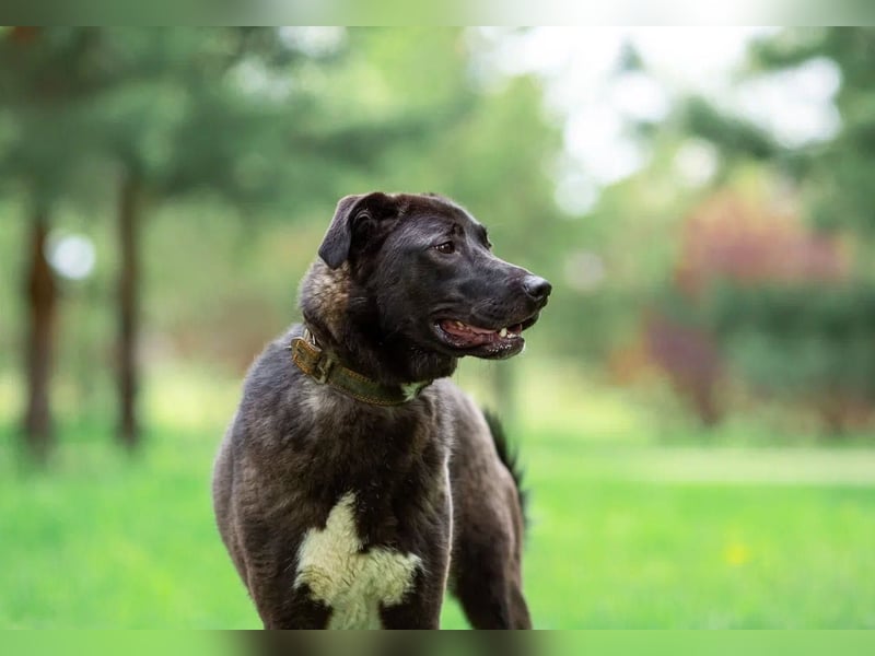 Betty will nur wärme und liebe...