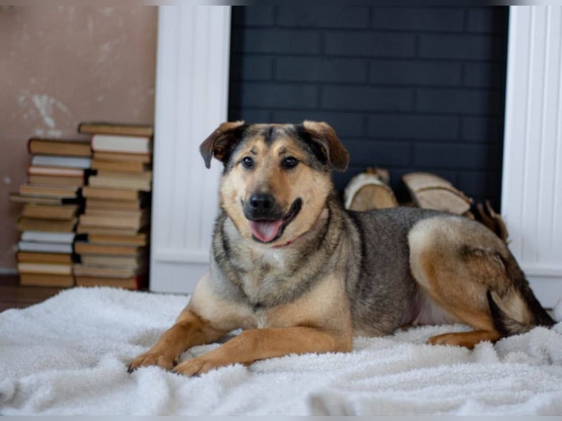 Wunderschöne Musya wartet auf dich