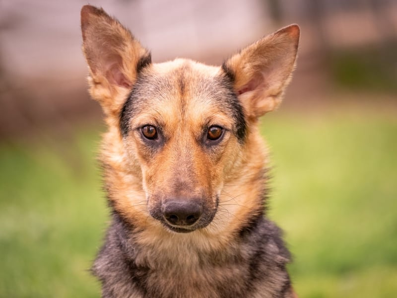 Kann Vishnja dich verzaubern ?!