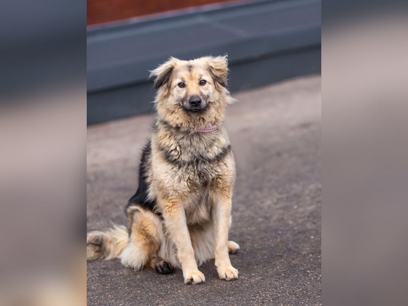 Aktiv und fröhlich durchs Leben mit Lora