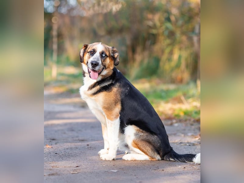 Tyson will nochmal seine ganze Liebe zeigen