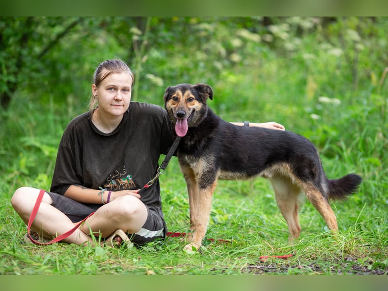 Der freundliche und bescheidene Elon sucht eine Familie