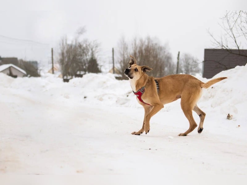Kai sucht Menschen zum lieben