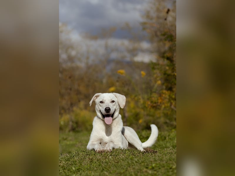 Lilit Taub durch die Welt , aber mit viel Liebe