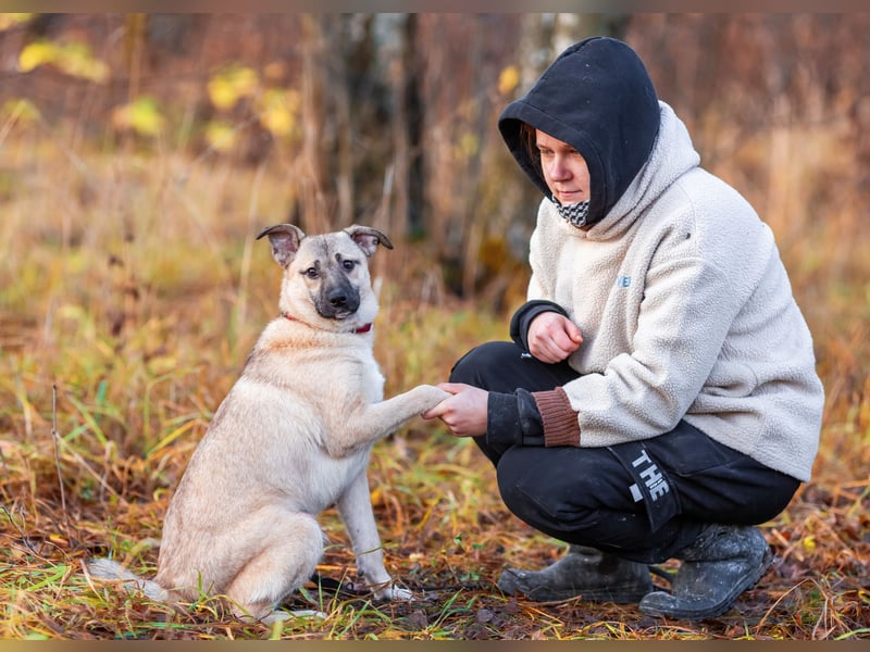 Iriska sucht liebe Menschen
