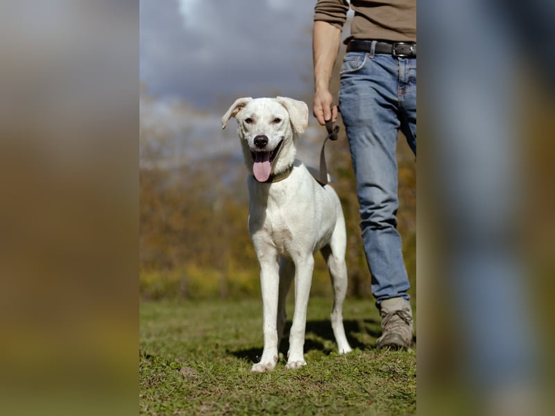 Lilit Taub durch die Welt , aber mit viel Liebe