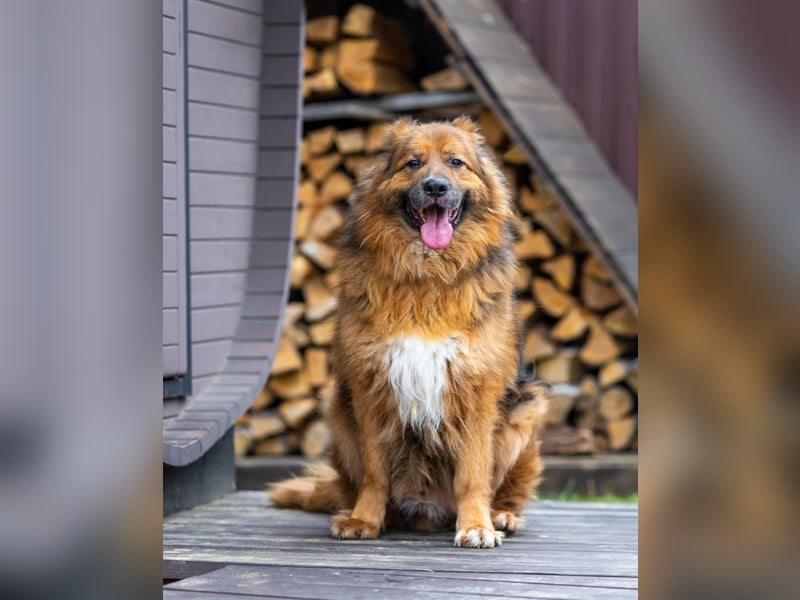 Bekommt Rakhat eine 2.Chance?!