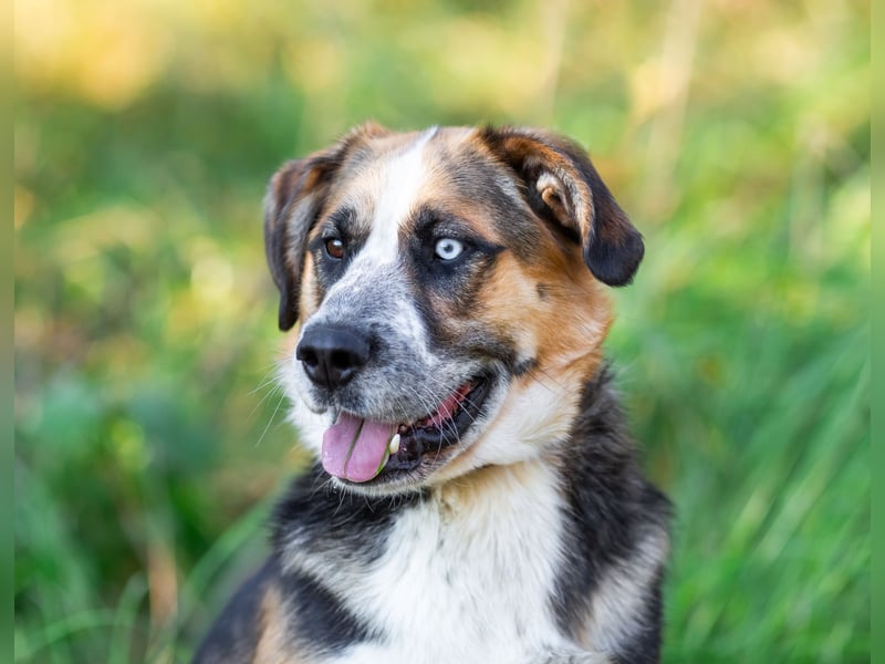 Tyson will nochmal seine ganze Liebe zeigen