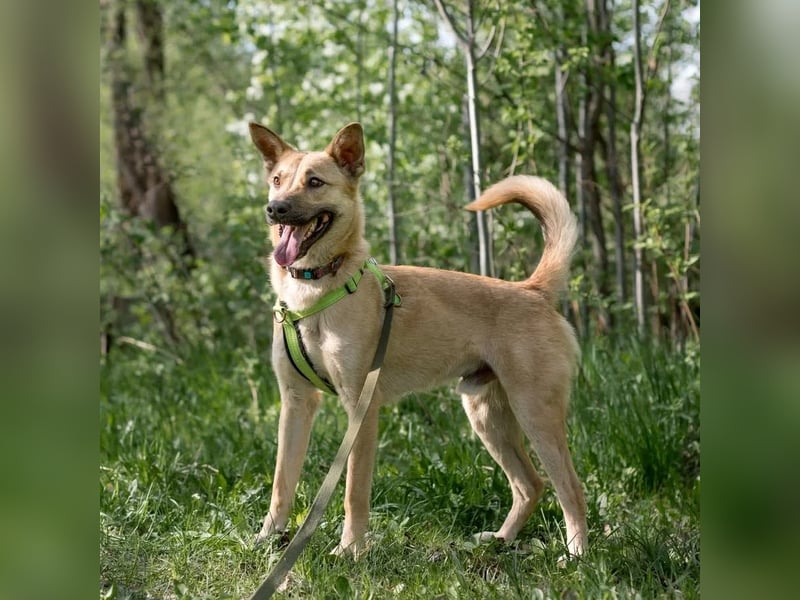 Archie möchte das Leben leben