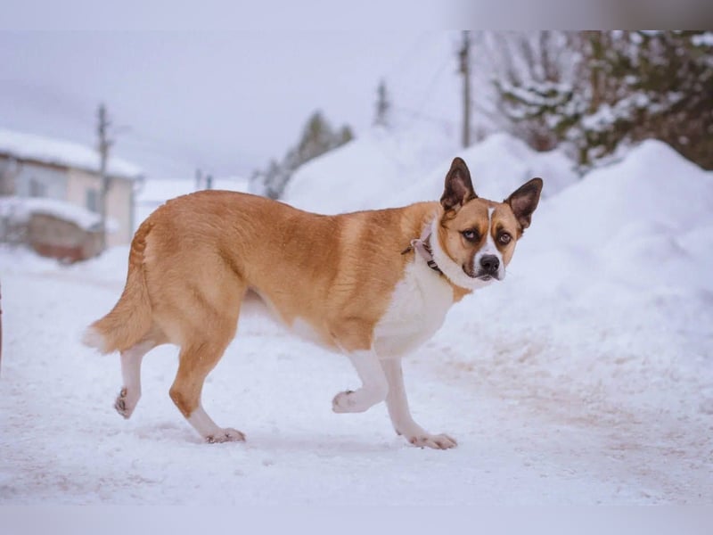 Astra sieht nicht perfekt aus, aber hat ein großes Herz