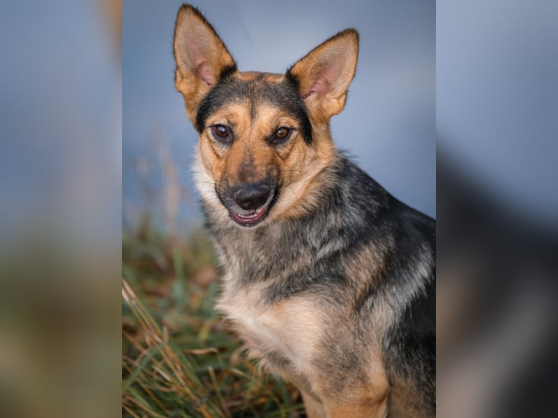 Kann Vishnja dich verzaubern ?!