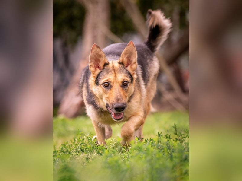 Kann Vishnja dich verzaubern ?!