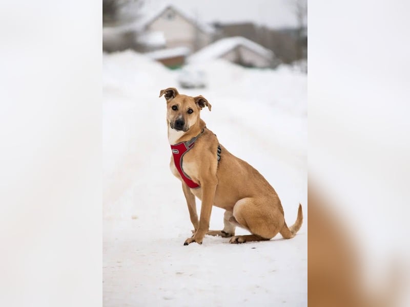Kai sucht Menschen zum lieben