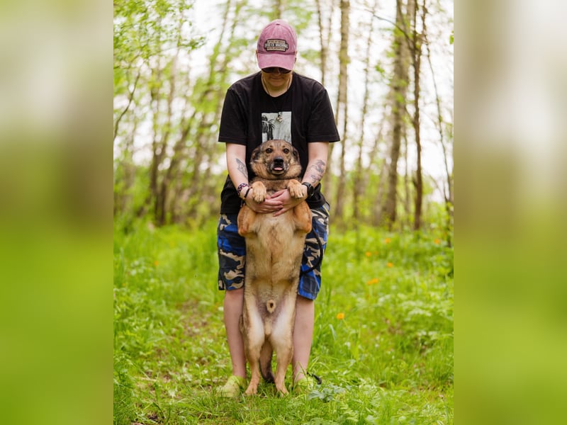 Hübscher Mickey braucht liebe