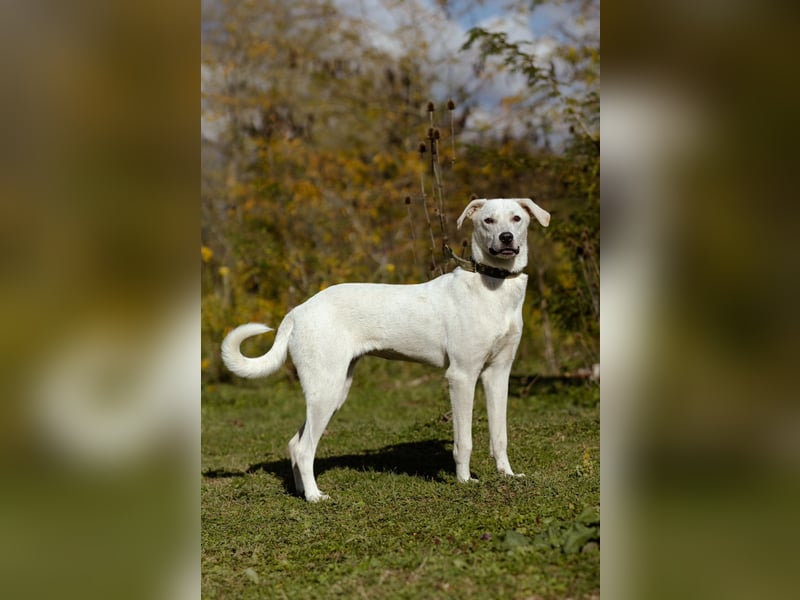 Lilit Taub durch die Welt , aber mit viel Liebe