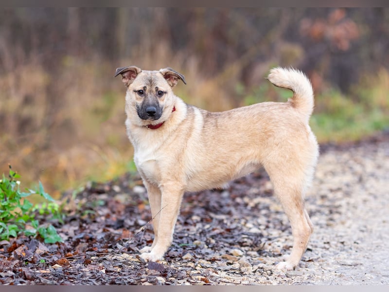 Iriska sucht liebe Menschen