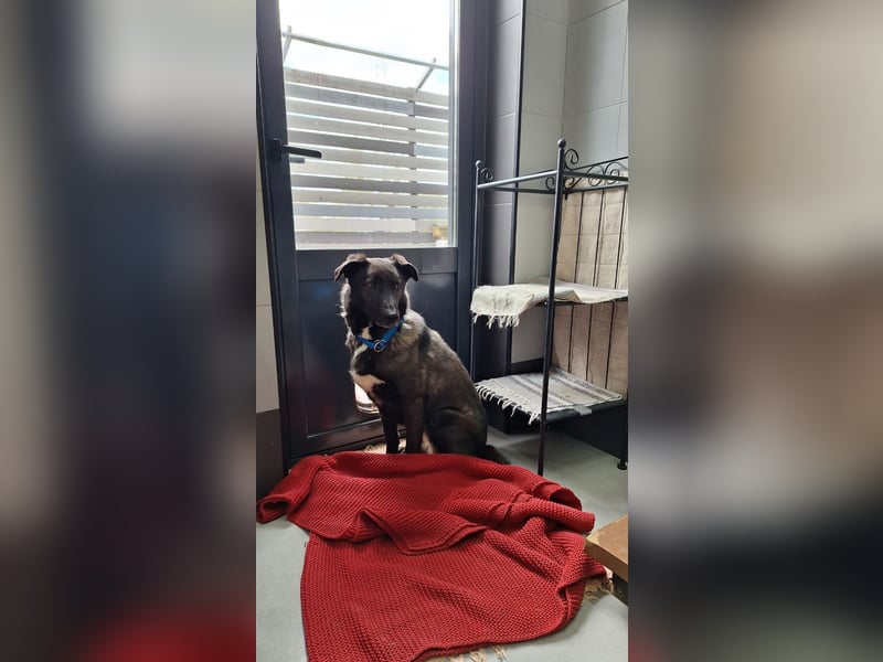 Wunderschöne Jasmine mochte geliebt werden