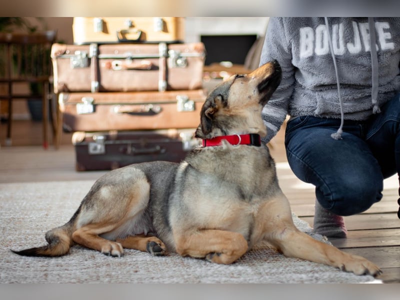 Wunderschöne Musya wartet auf dich