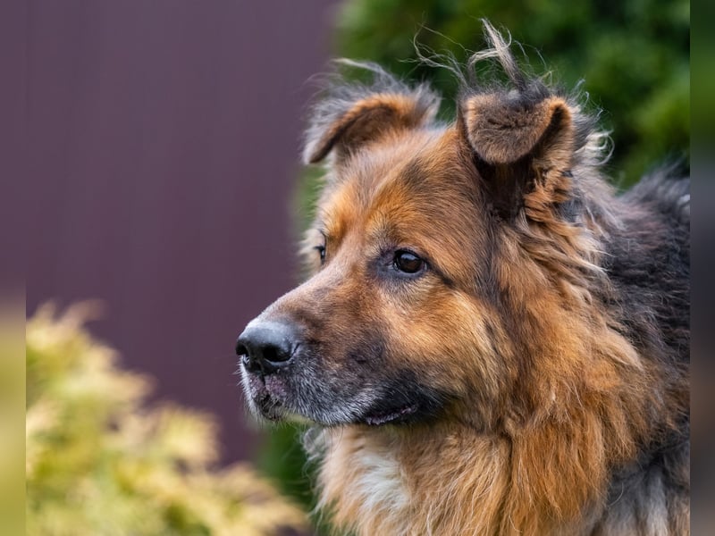 Bekommt Rakhat eine 2.Chance?!