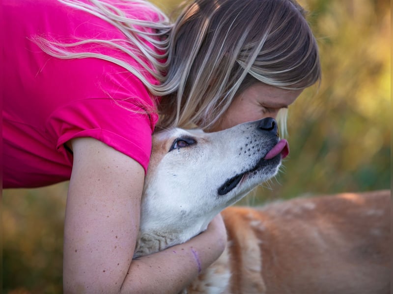 Ulan, weiches Herz wartet auf einen tollen Besitzer