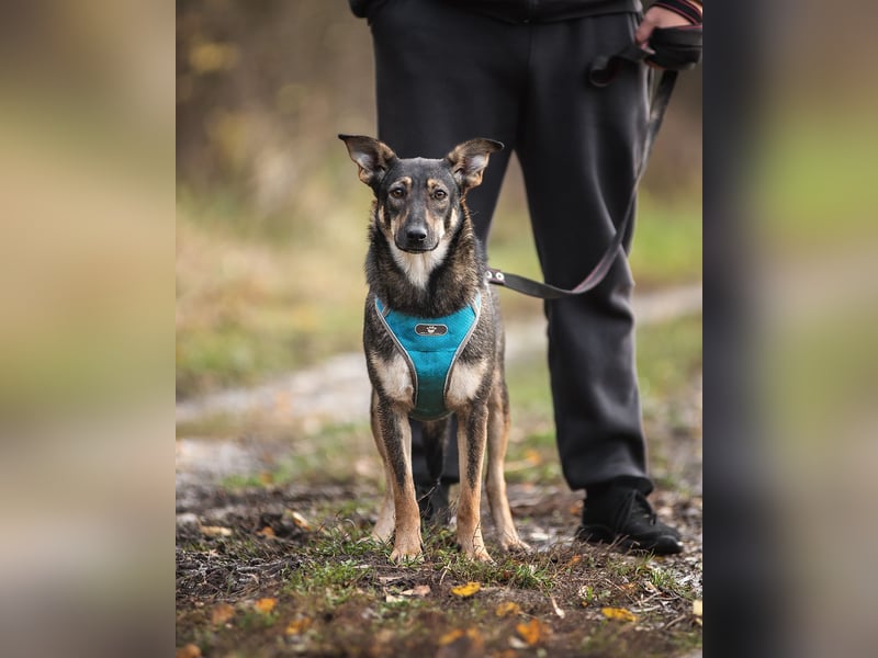 Liebevolle Olivka sucht ihren platz