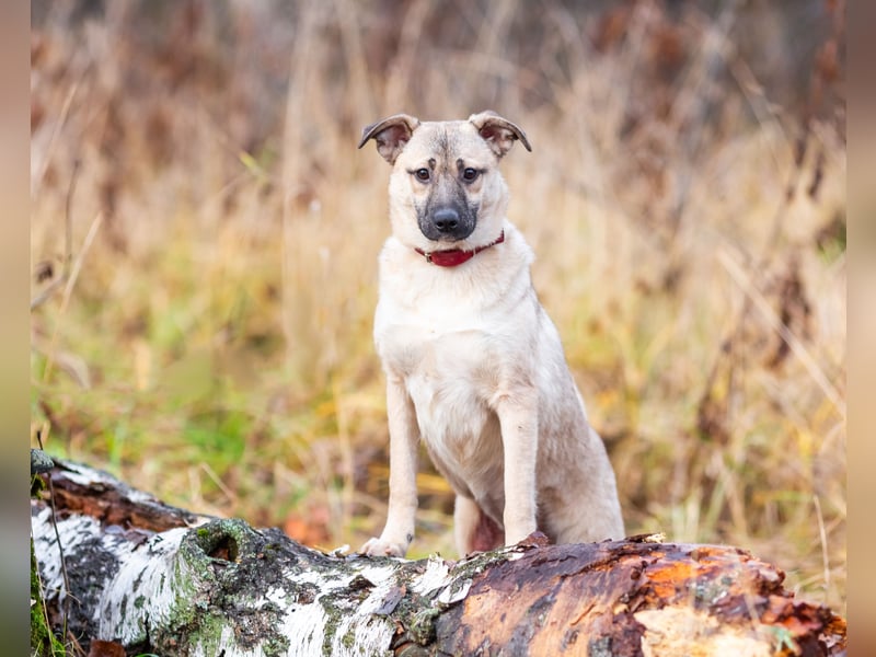 Iriska sucht liebe Menschen