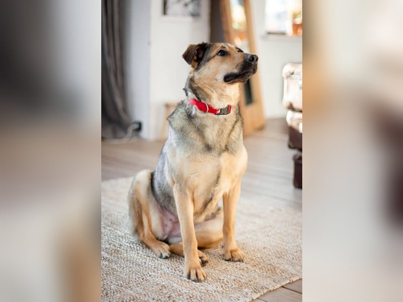 Wunderschöne Musya wartet auf dich