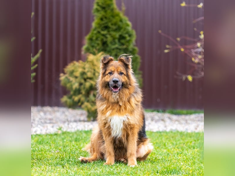 Bekommt Rakhat eine 2.Chance?!