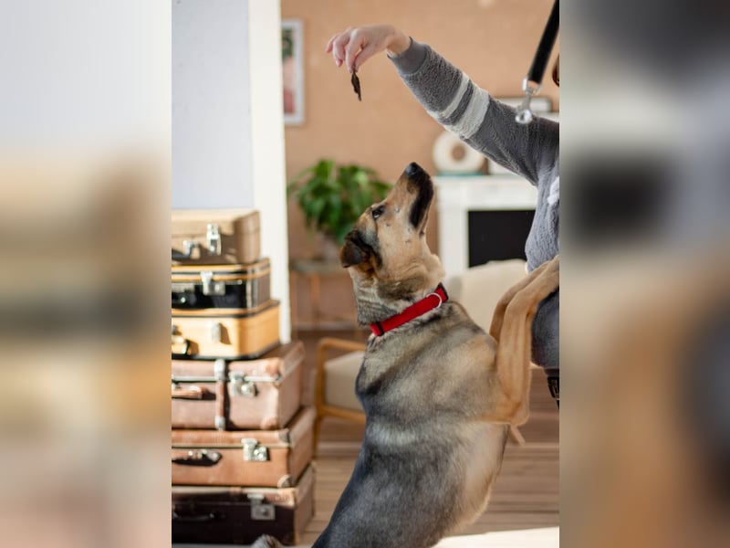 Wunderschöne Musya wartet auf dich