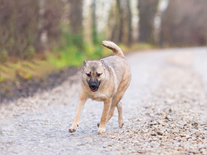 Iriska sucht liebe Menschen