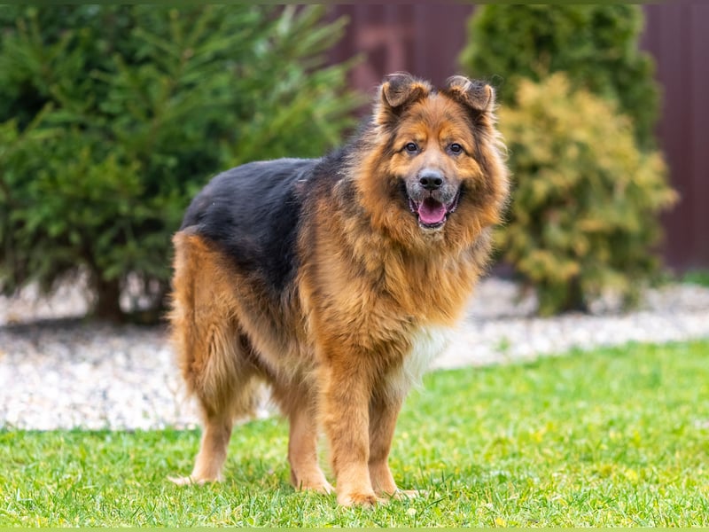 Bekommt Rakhat eine 2.Chance?!