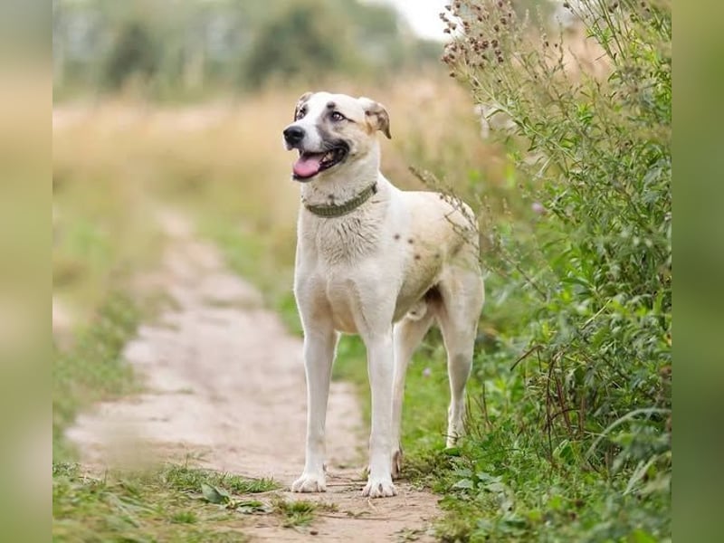Kannst du Nemo lieben trotz handicap?!