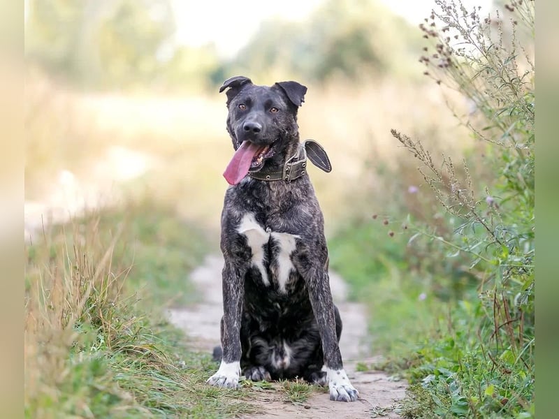 Menschenbezogener Chicago will geliebt werden