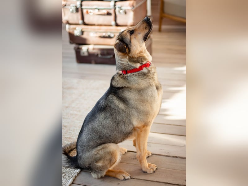 Wunderschöne Musya wartet auf dich