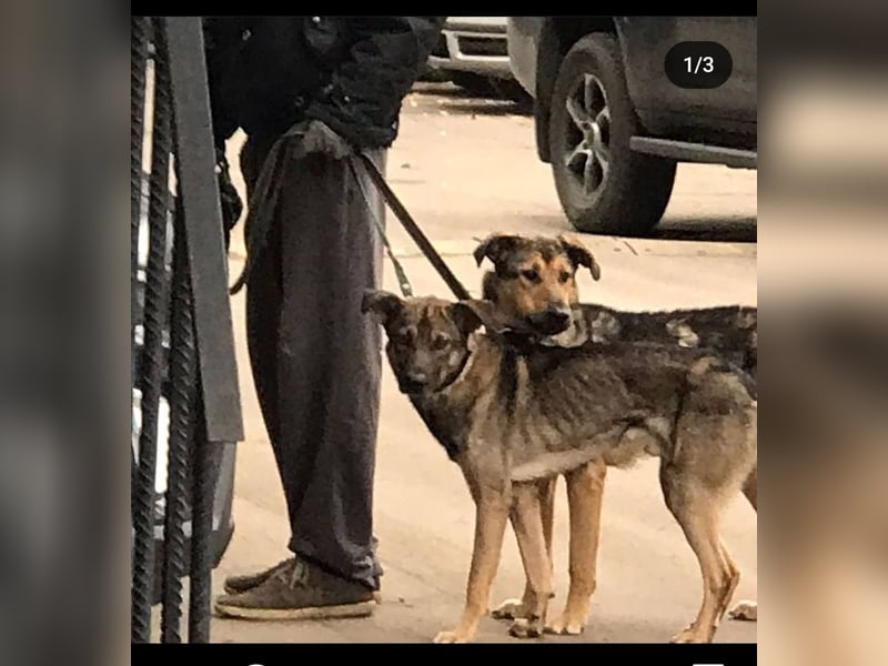 Wunderschöne Musya wartet auf dich