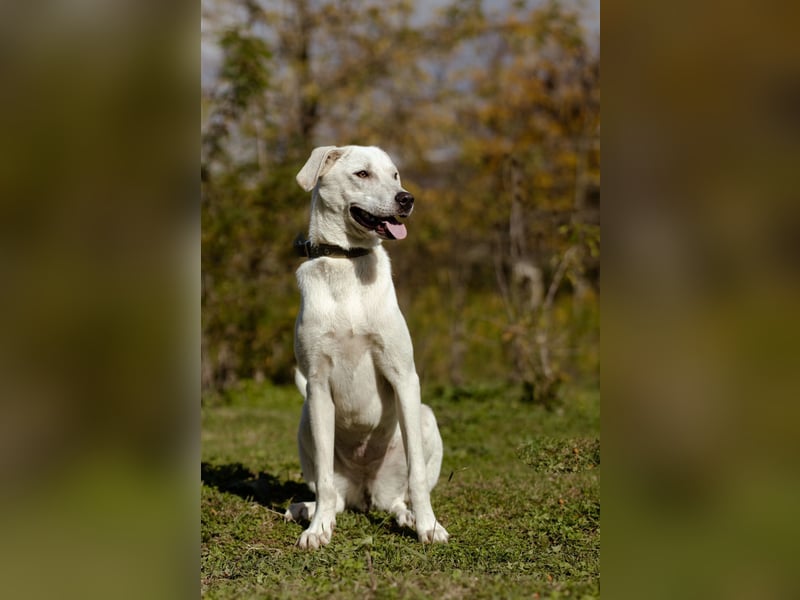 Lilit Taub durch die Welt , aber mit viel Liebe