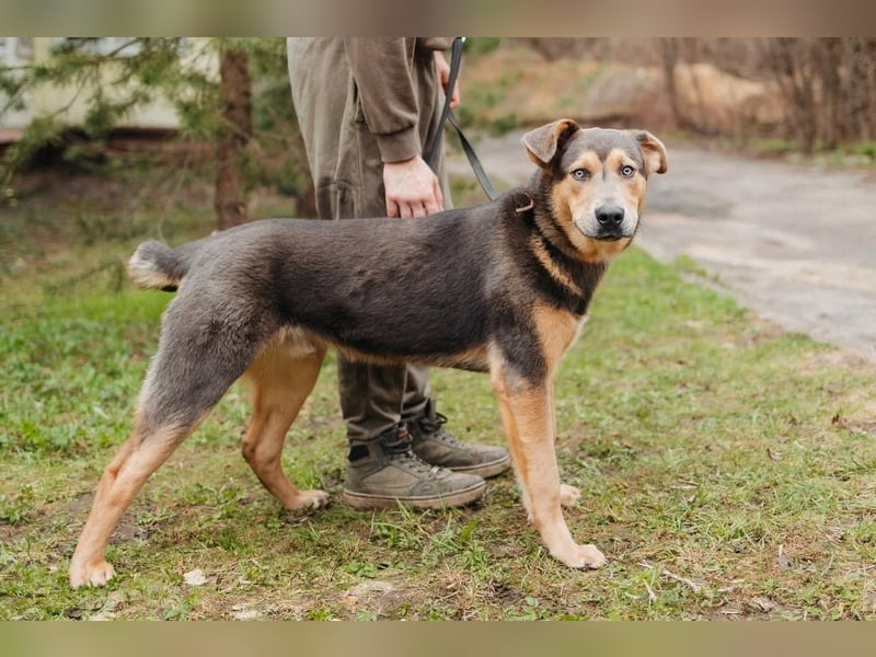 Zauberhafte Rocky verzaubert alle