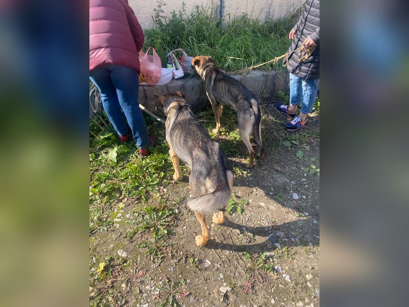 Wunderschöne Musya wartet auf dich