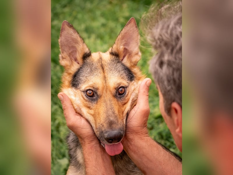 Kann Vishnja dich verzaubern ?!