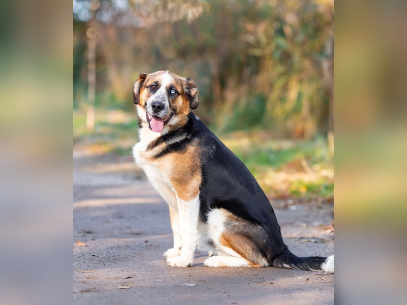 Tyson will nochmal seine ganze Liebe zeigen