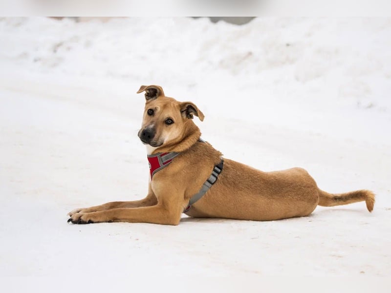 Kai sucht Menschen zum lieben