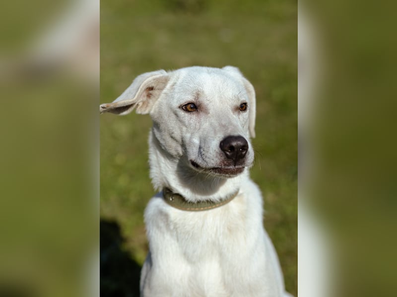 Lilit Taub durch die Welt , aber mit viel Liebe