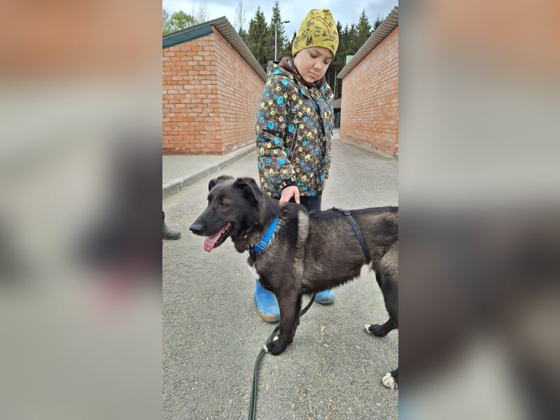 Wunderschöne Jasmine mochte geliebt werden